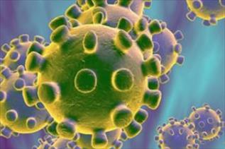Imagen principal de LOS CORONAVIRUS